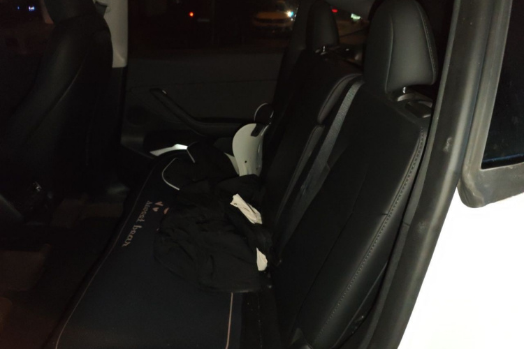 Tesla Model Y 2024 car image #14