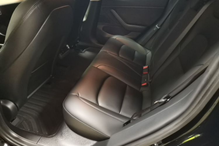 Tesla Model 3 2020 #17 Tesla Model 3 2020 car image #17