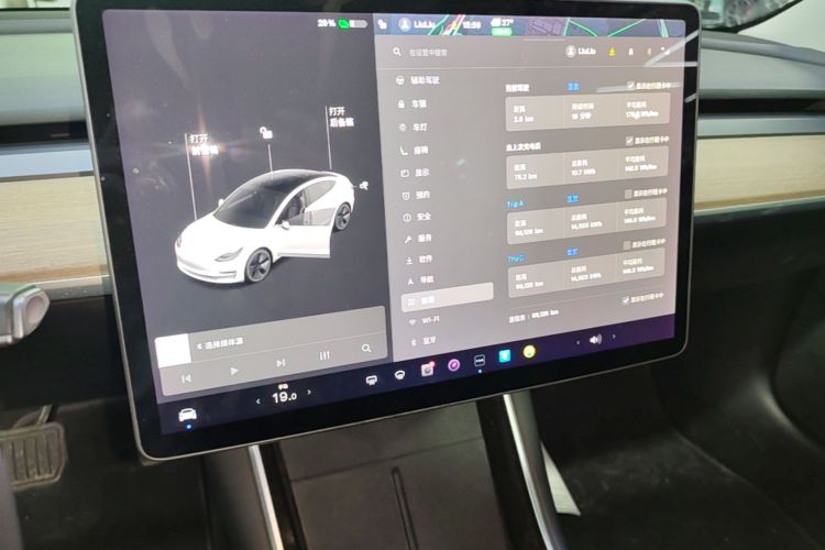 Tesla Model 3 2020 immagine di auto #13