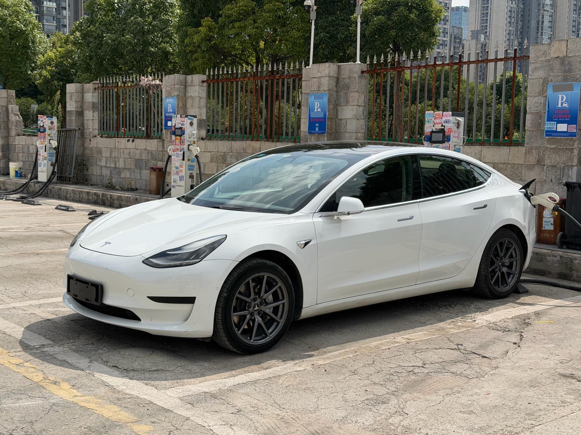 Tesla Model 3 2020 car image 