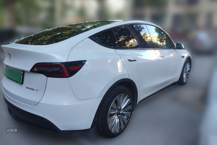 Tesla Model Y 2021 car image #7