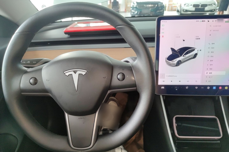 Tesla Model 3 2020 car image #10