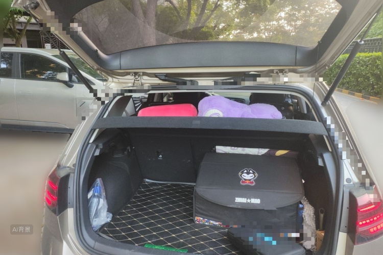 Volkswagen Golf 2018 car image #21