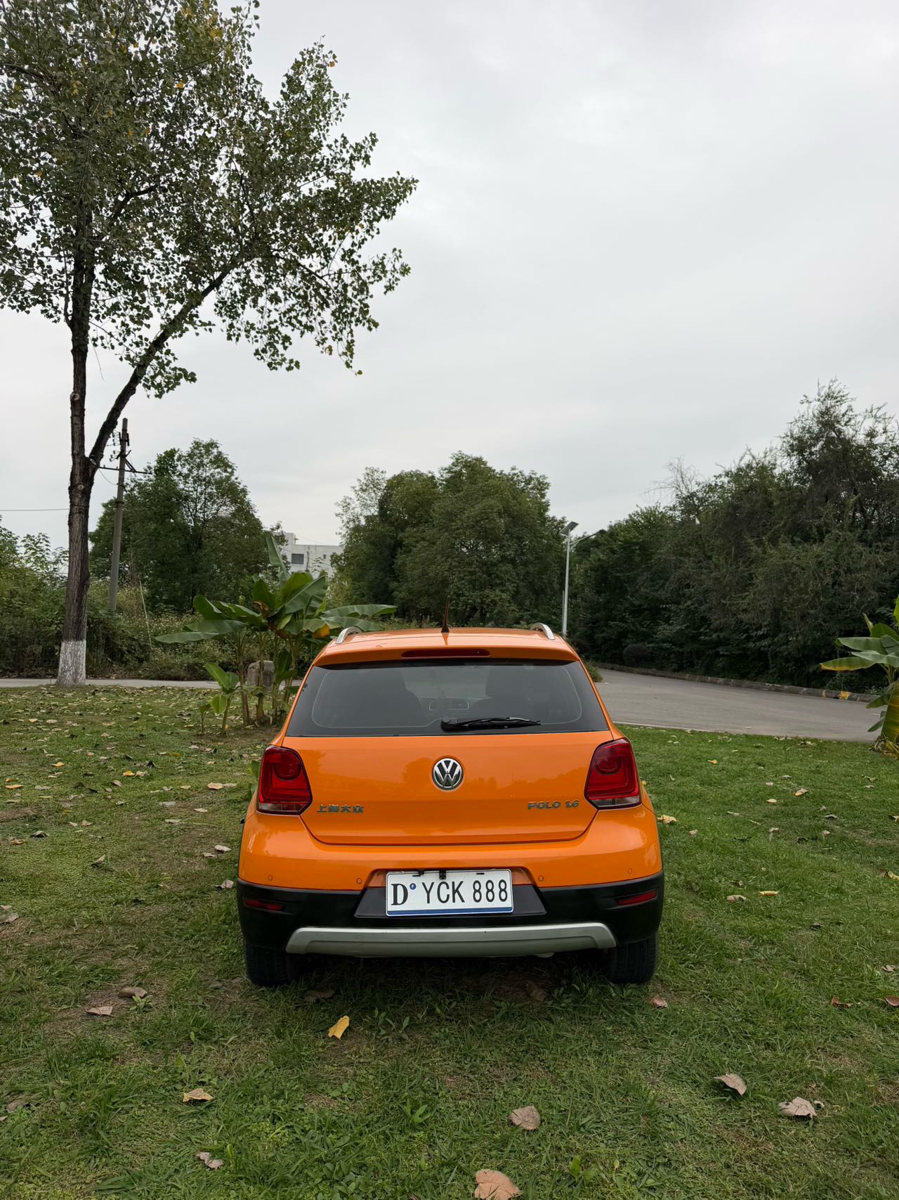 Volkswagen Polo 2012 #7 Volkswagen Polo 2012 immagine di auto #7
