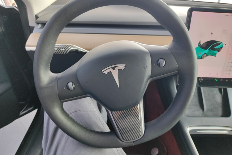 Tesla Model 3 2021 car image #11