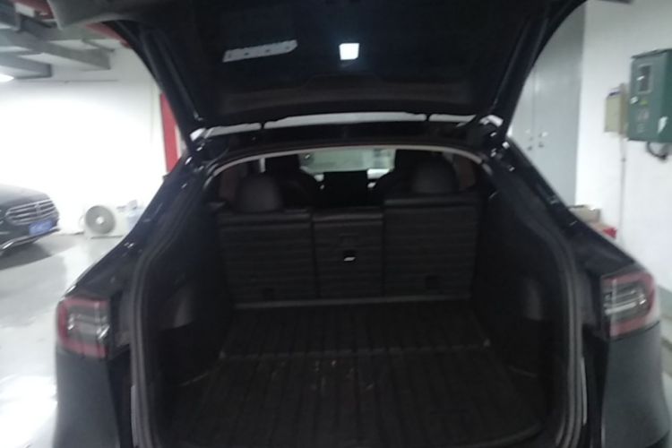 Tesla Model Y 2021 #21 Tesla Model Y 2021 car image #21