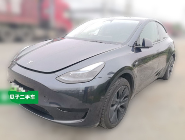 Tesla Model Y 2024 Tesla Model Y 2024 car image