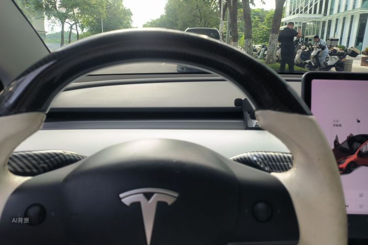 Tesla Model 3 2020 car image #13