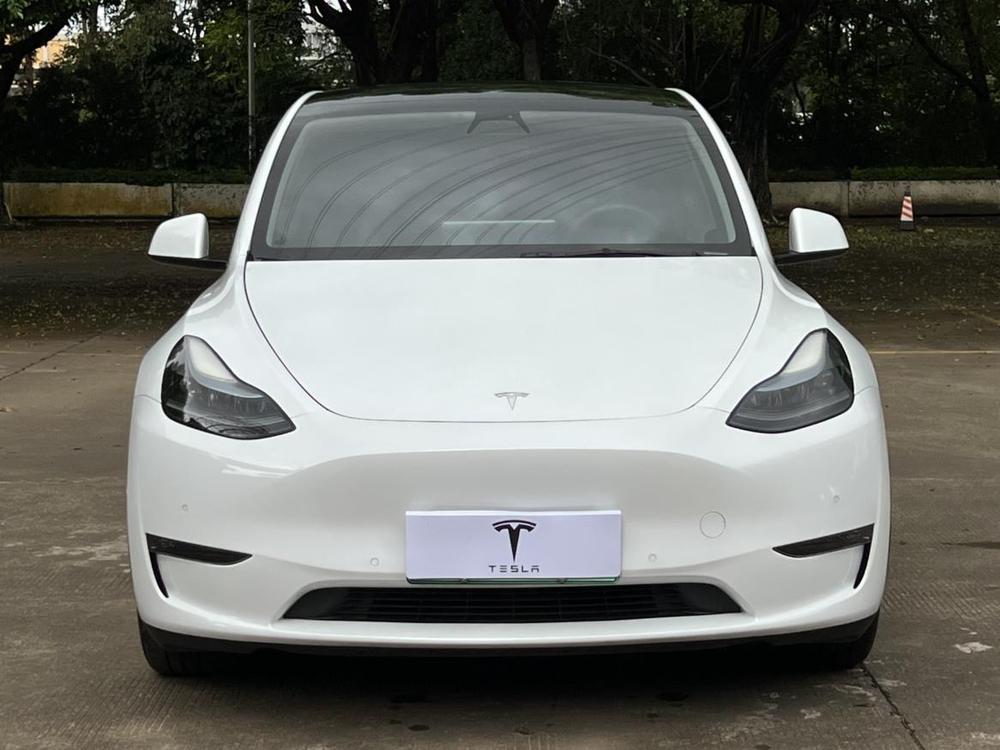 Tesla Model Y 2023 car image #2