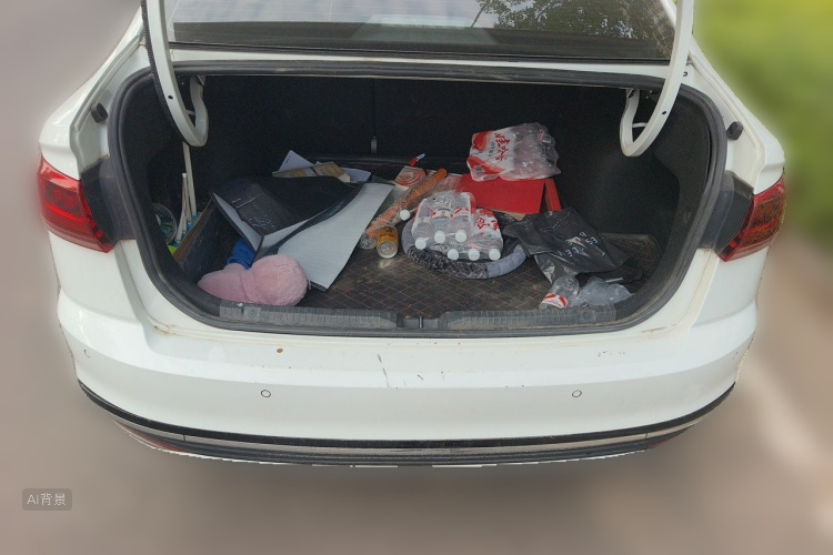 Volkswagen Bora 2023 car image #21