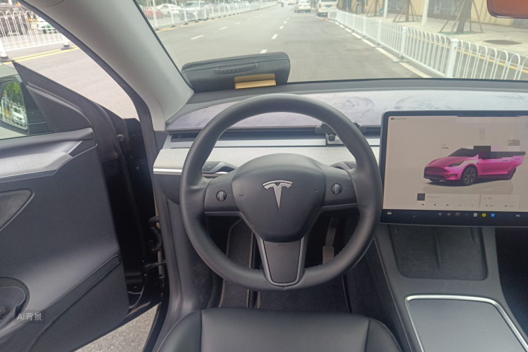 Tesla Model Y 2024 car image #12