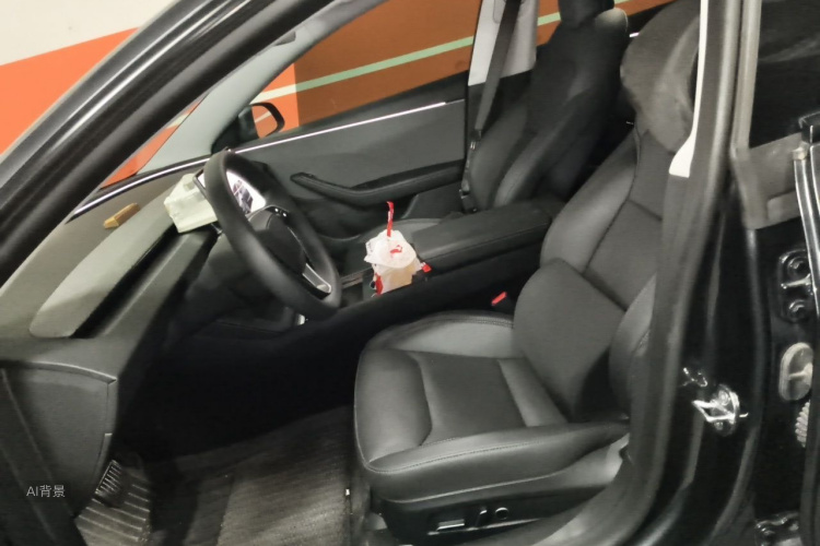 Tesla Model 3 2025 car image #17