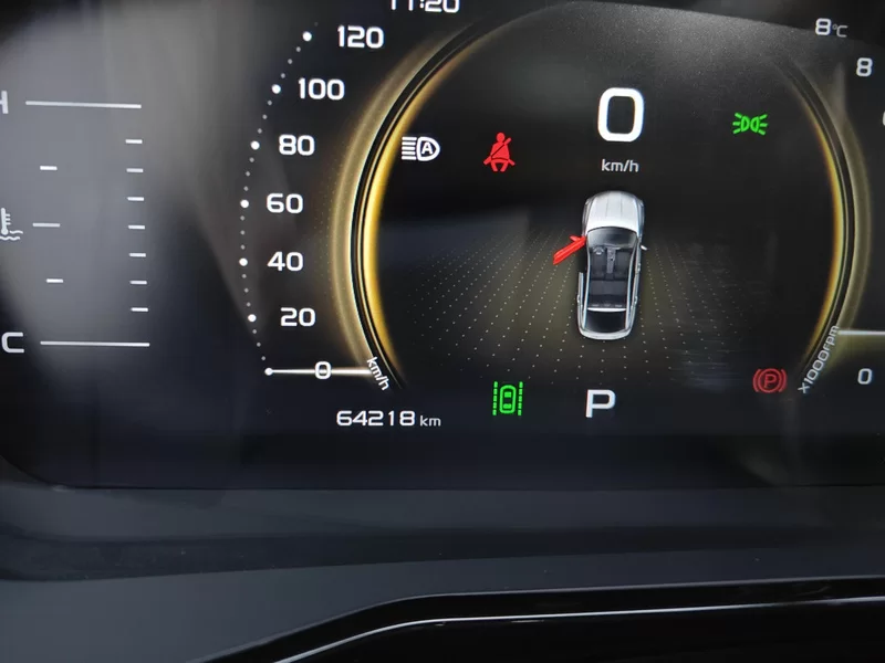 GEELY Tugella S 2021 imagem de carro #17