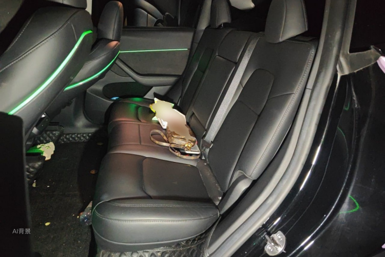 Tesla Model Y 2023 immagine di auto #19