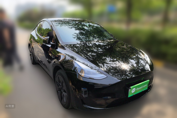 Tesla Model Y 2023 car image #4