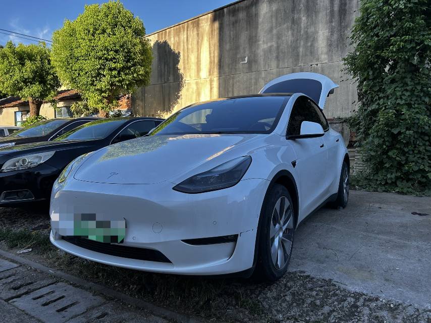 Tesla Model Y 2022 Tesla Model Y 2022 car image