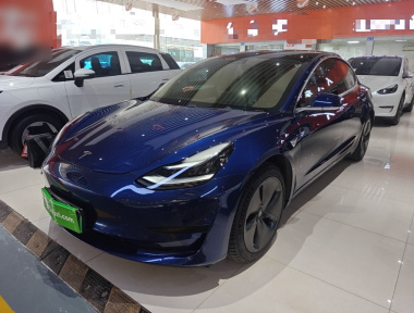 Tesla Model 3 2020 Tesla Model 3 2020 car image