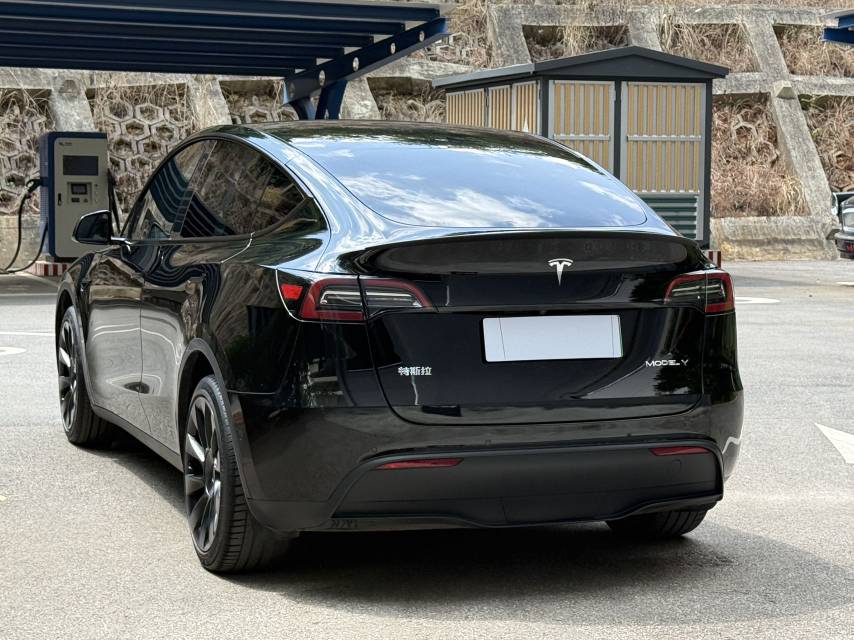Tesla Model Y 2024 #11 Tesla Model Y 2024 car image #11