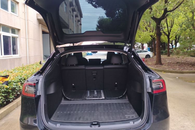 Tesla Model Y 2023 #21 Tesla Model Y 2023 car image #21