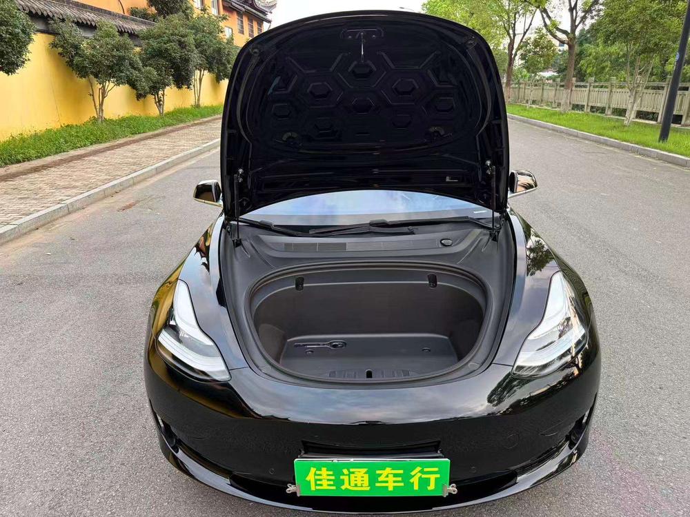 Tesla Model 3 2020 car image #18
