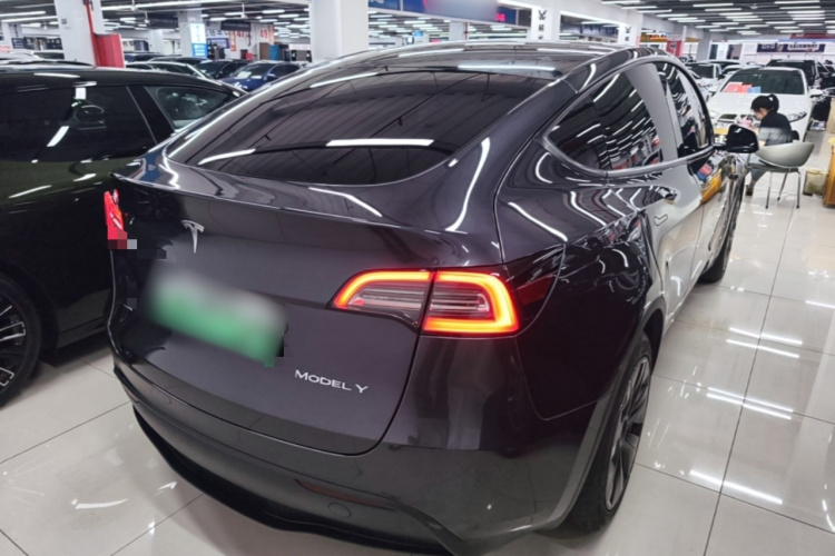 Tesla Model Y 2024 car image #7