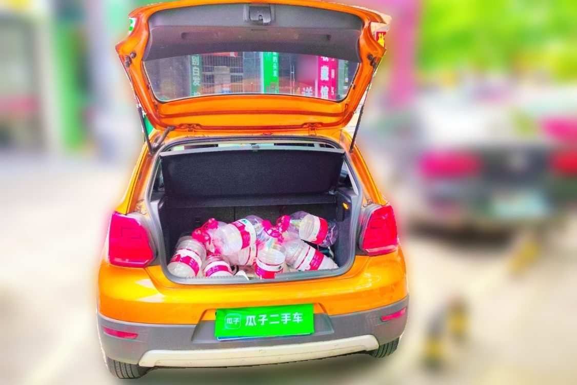 Volkswagen Polo 2015 car image #8