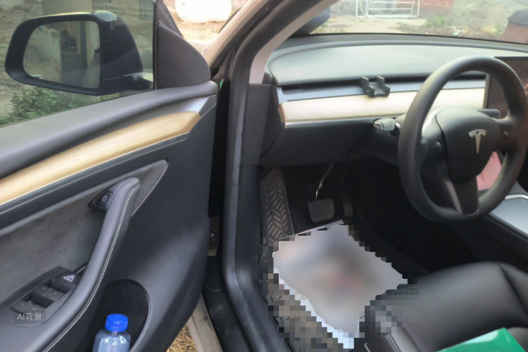 Tesla Model Y 2023 #18 Tesla Model Y 2023 car image #18