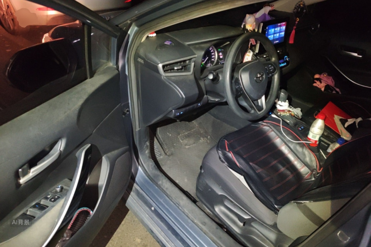 Toyota Corolla 2021 car image #18