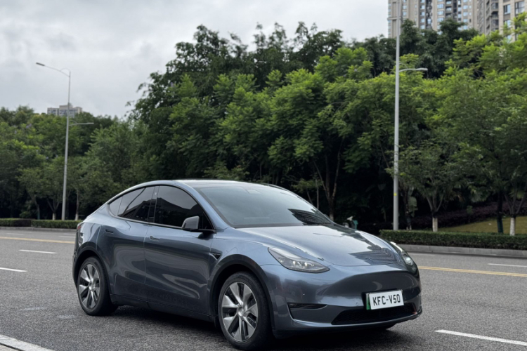 Tesla Model Y 2021 car image #5
