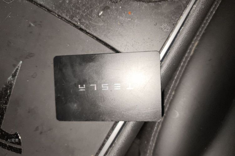 Tesla Model 3 2020 car image #10