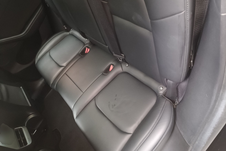 Tesla Model Y 2023 car image #13