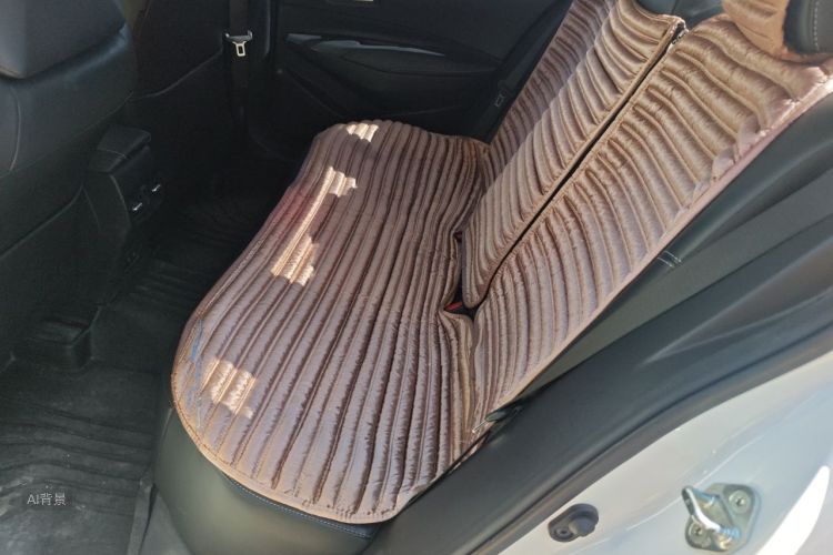 Toyota Corolla 2019 car image #19