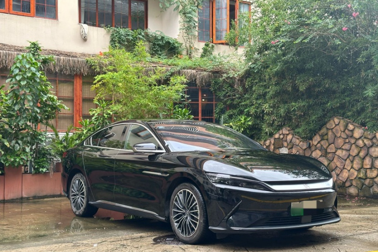 BYD Han 2020 immagine di auto #3