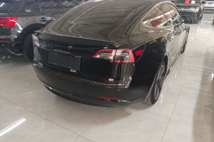 Tesla Model 3 2021 #7 Tesla Model 3 2021 car image #7