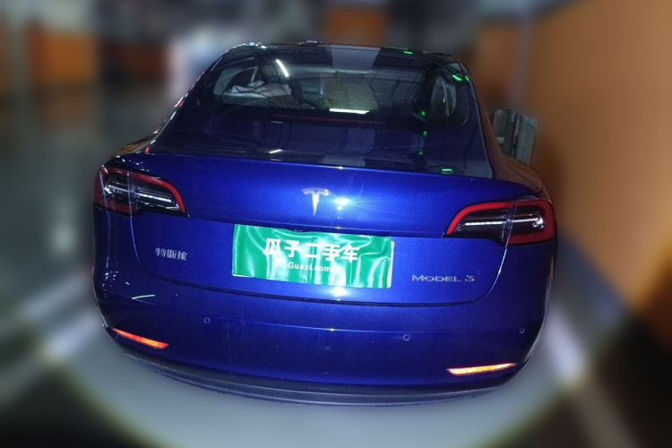 Tesla Model 3 2021 car image #6