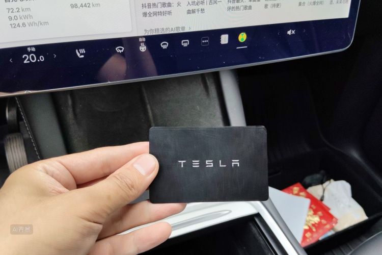 Tesla Model Y 2021 car image #10