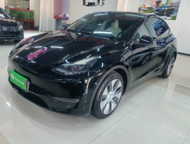 Tesla Model Y 2021 Tesla Model Y 2021 car image