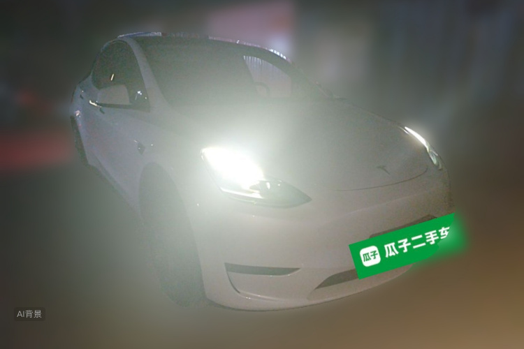 Tesla Model Y 2024 car image #4