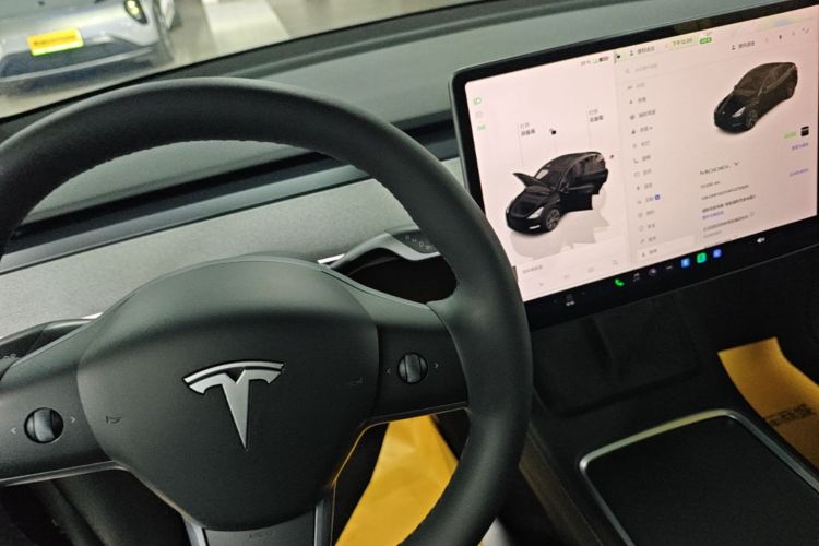 Tesla Model Y 2023 #14 Tesla Model Y 2023 car image #14