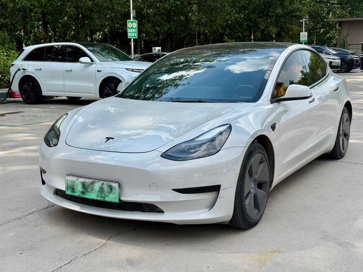 Tesla Model 3 2021 car image 