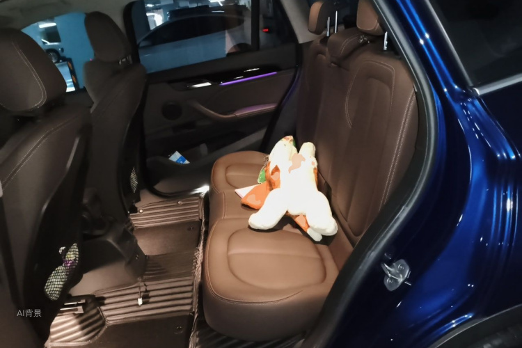 BMW X1 2019 car image #19