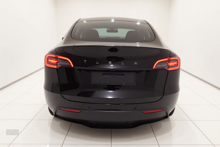 Tesla Model Y 2022 car image #6
