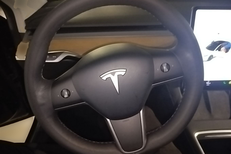 Tesla Model 3 2021 car image #11