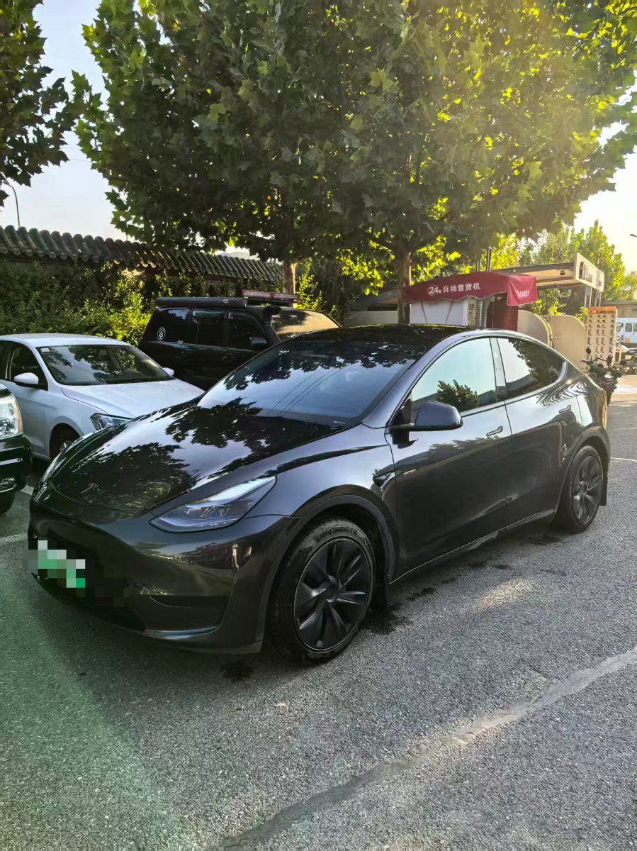 Tesla Model Y 2024 Tesla Model Y 2024 car image