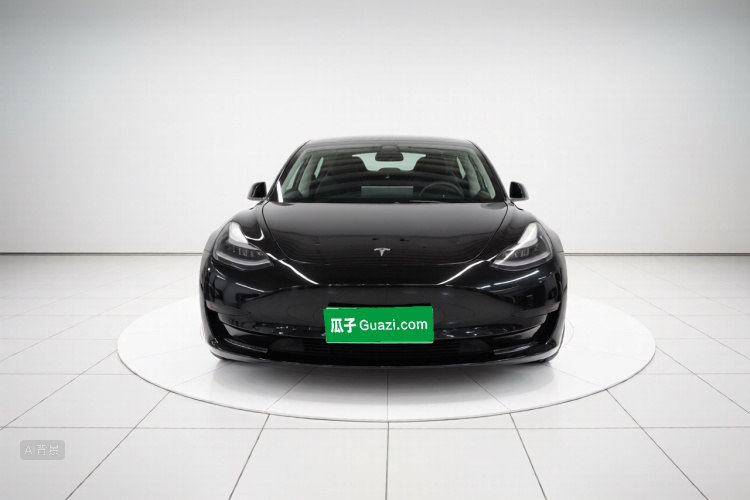 Tesla Model 3 2021 #3 Tesla Model 3 2021 car image #3