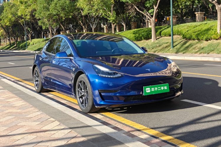 Tesla Model 3 2020 car image #4