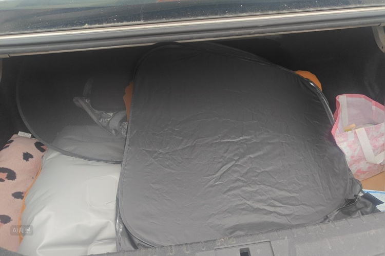 GEELY Emgrand 2020 car image #21