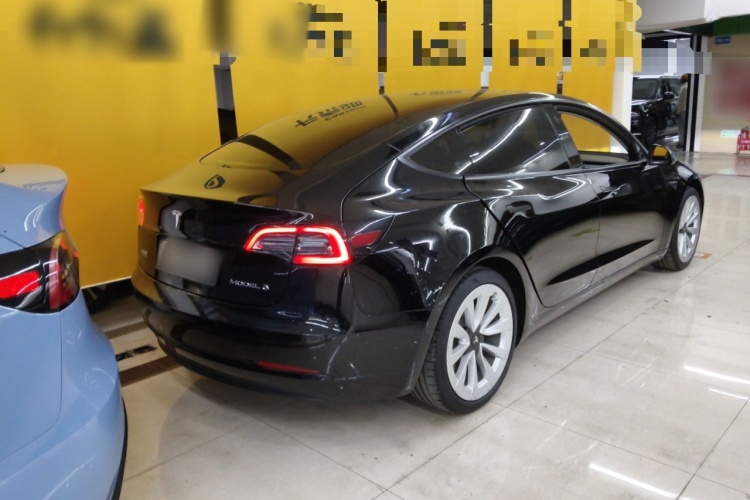 Tesla Model 3 2021 #5 Tesla Model 3 2021 car image #5