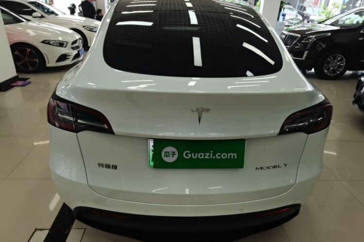Tesla Model Y 2021 car image #6