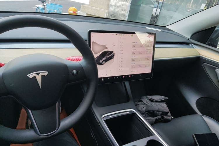 Tesla Model Y 2022 car image #10